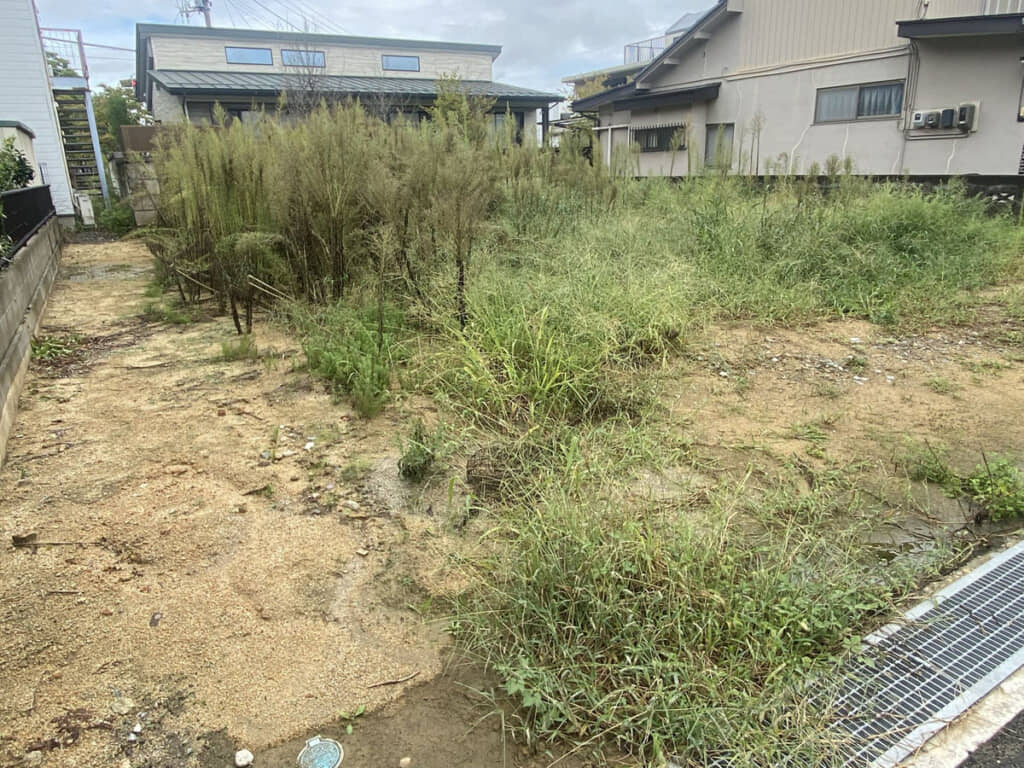 手前はともかく奥のほうがやっかいそう