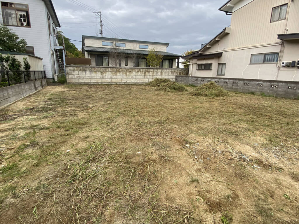 あれだけあった草がきれいさっぱり