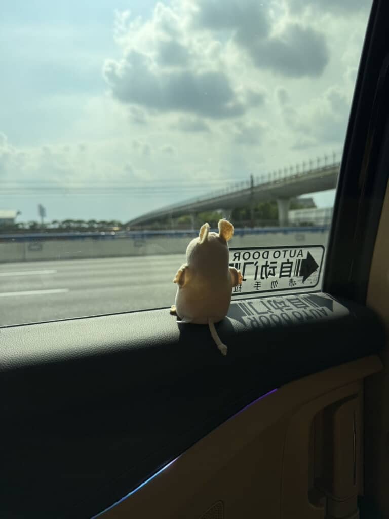 こちらも夫のぬい撮り。おしゃれですね～
