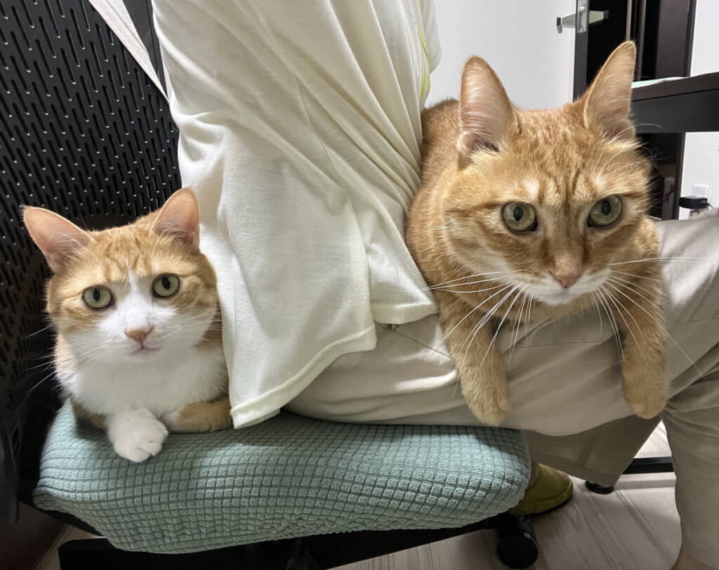 オフィスチェアに座っていても腰が痛くなる理由は……
