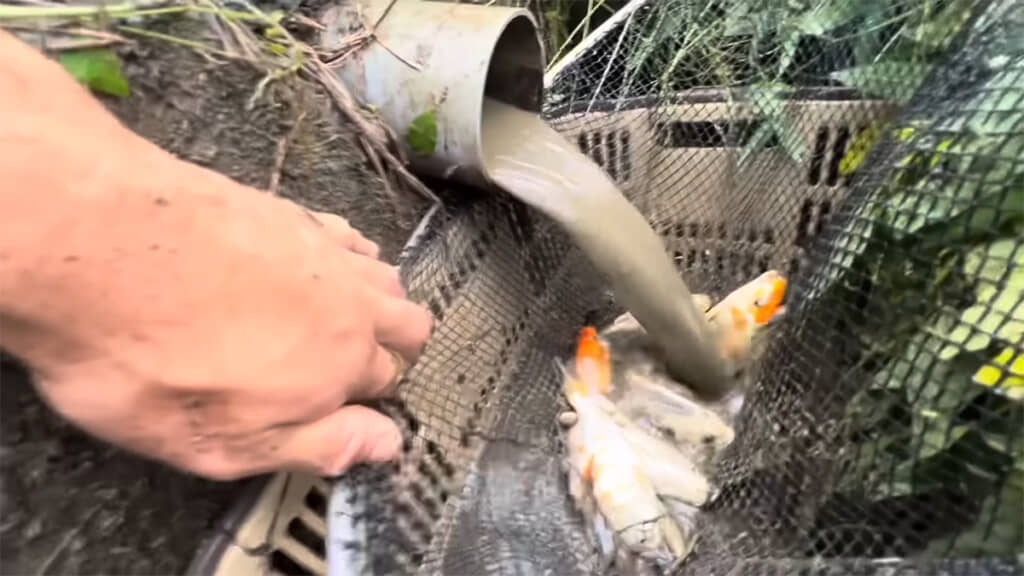 時間との闘いです