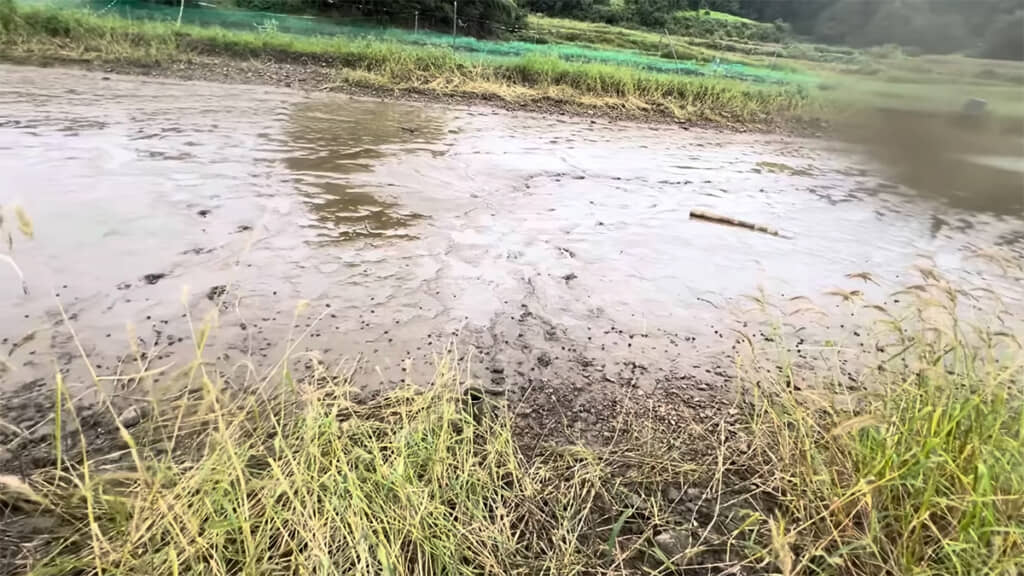 池はすっかり空に、お疲れ様でした！