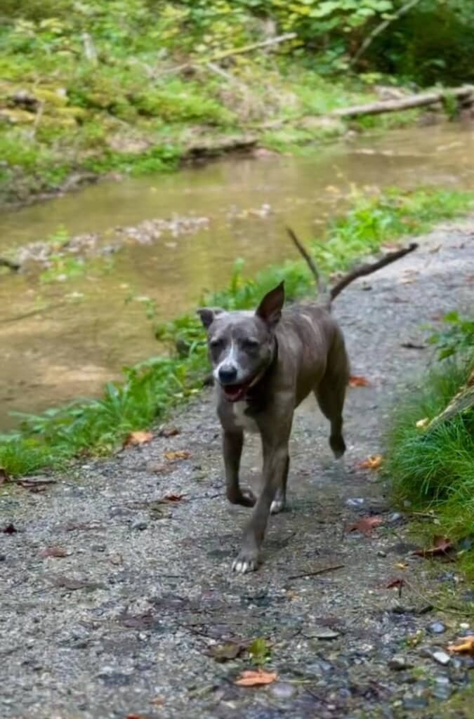 お利口なエマちゃん