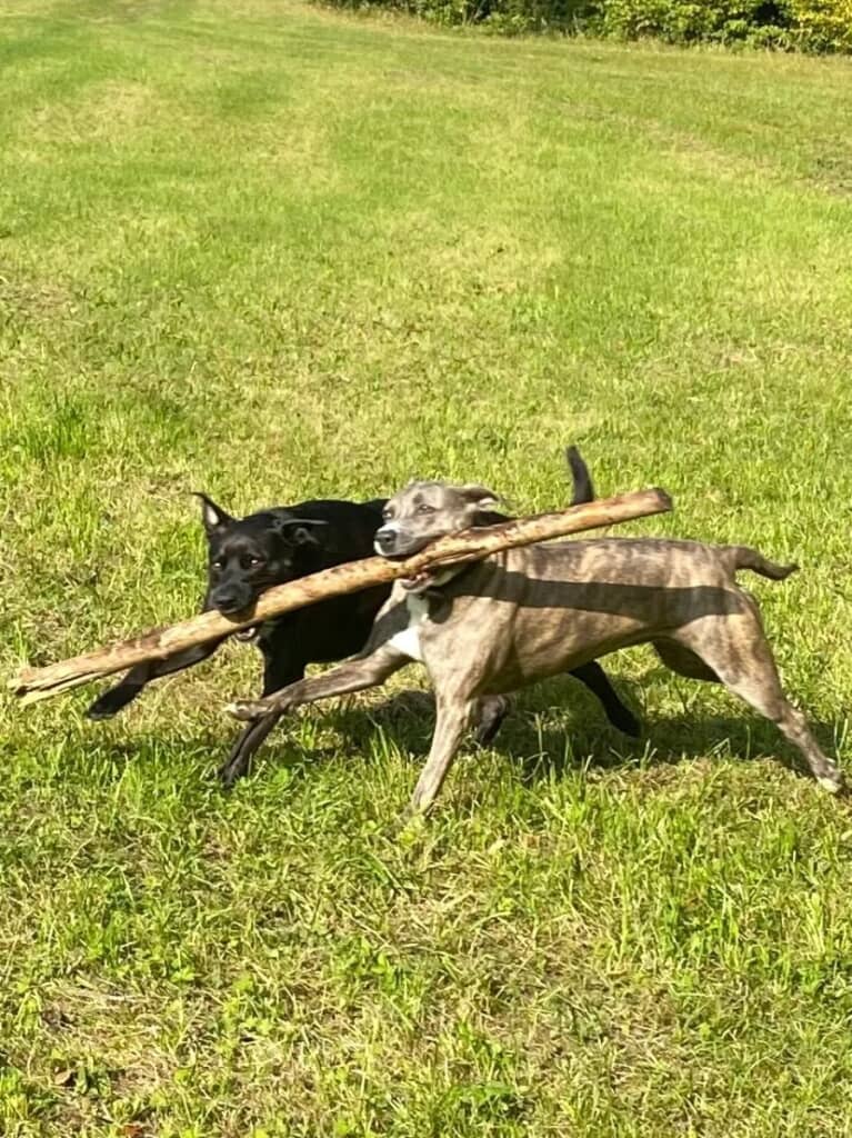 お兄ちゃんと見つけたよ！