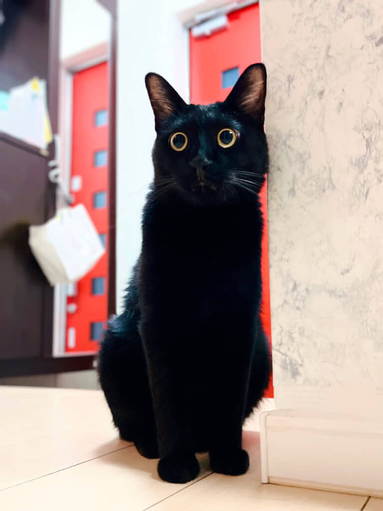 何かに驚く（？）たっくん