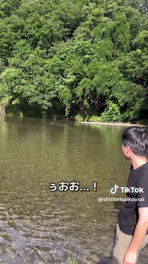 川の反対岸近くまでどんどん跳ねていく石