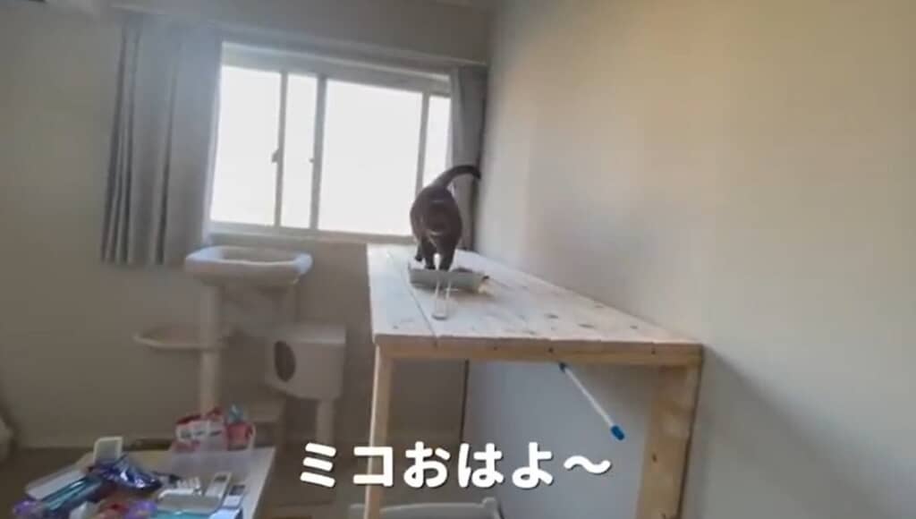 タワーの上にいたミコちゃん