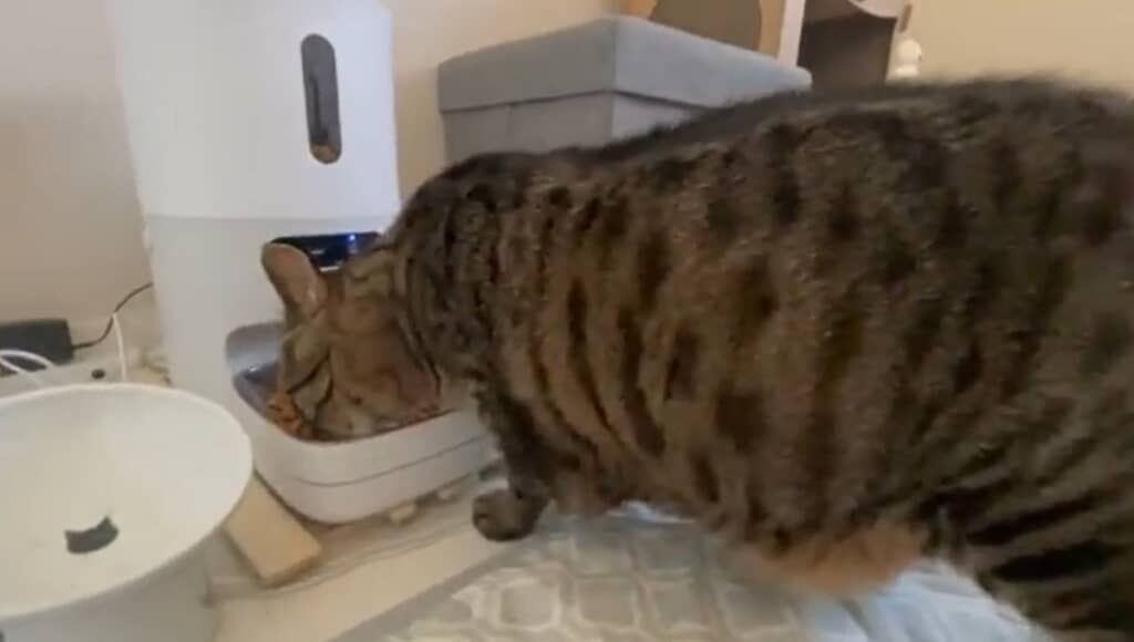 ゴハンを食べて