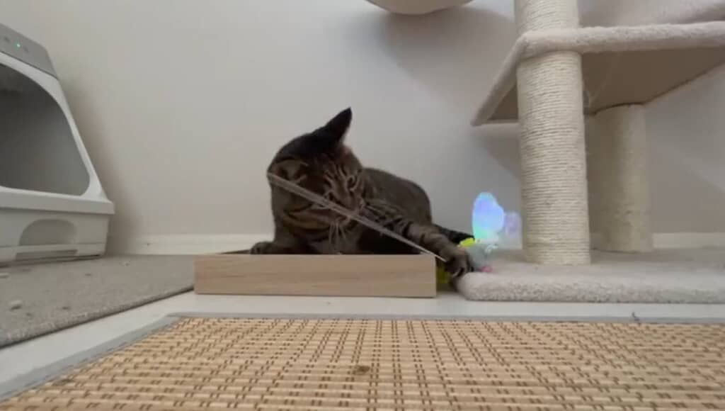 絡まってませんか？