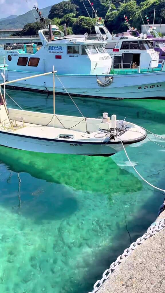 動画で見ても、宙に浮いて見える船