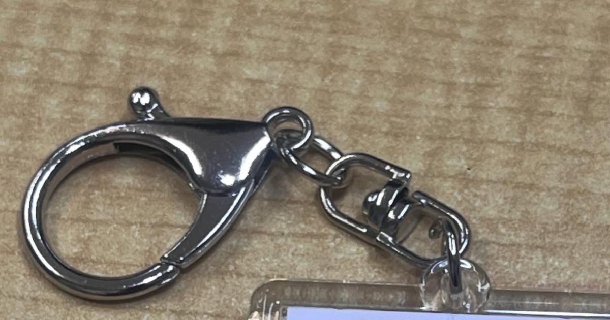 万博へ行く前に目にするイラっとする光景をキーホルダーにしてみたら……　まさかの完成品に「何度見たことかw」「センス良すぎ」（1/3） | ライフスタイル ねとらぼ