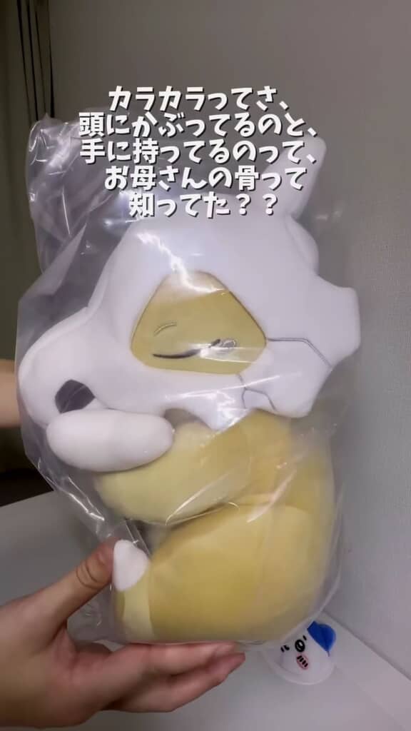 母親の骨だったんだね