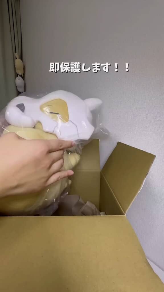 すぐに保護しました