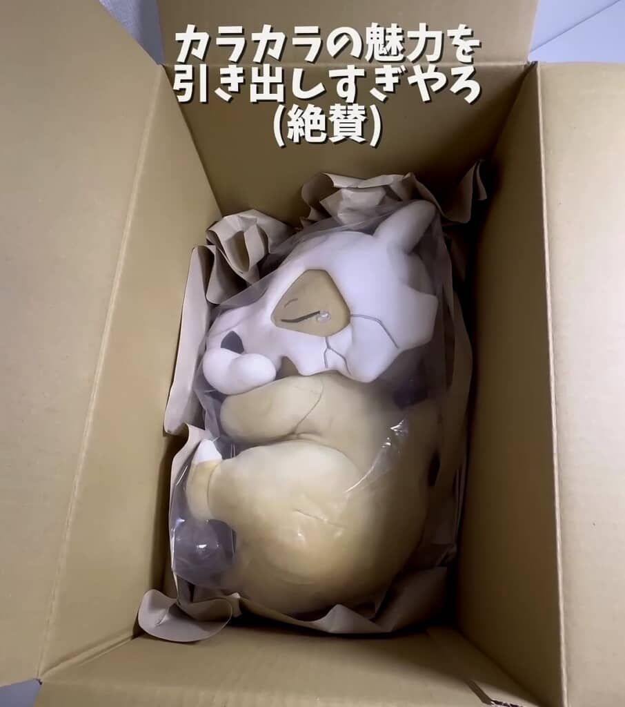 カラカラが眠っています