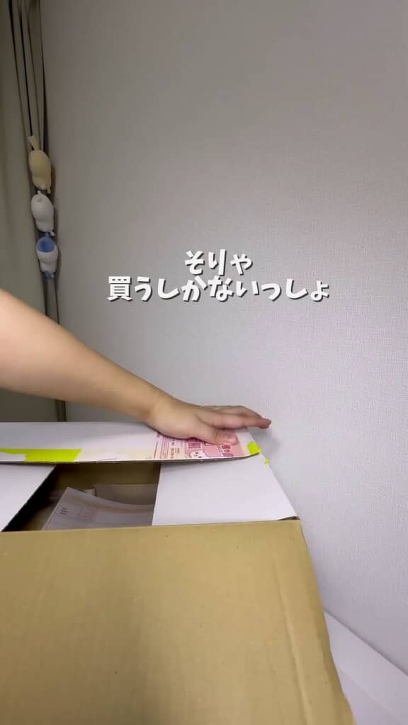 欲しかったグッズが再版されました