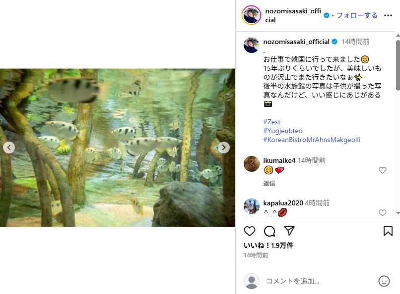 佐々木希の子どもが撮影したセンスある写真