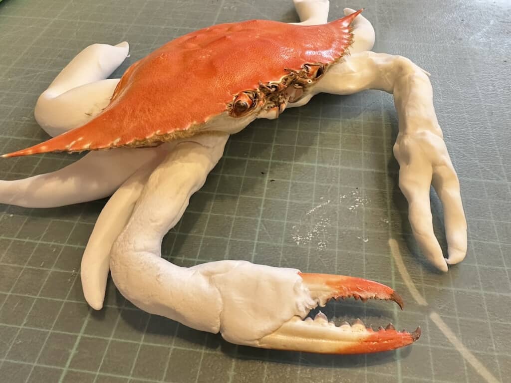 まるまる身の部分みたいでおいしそう