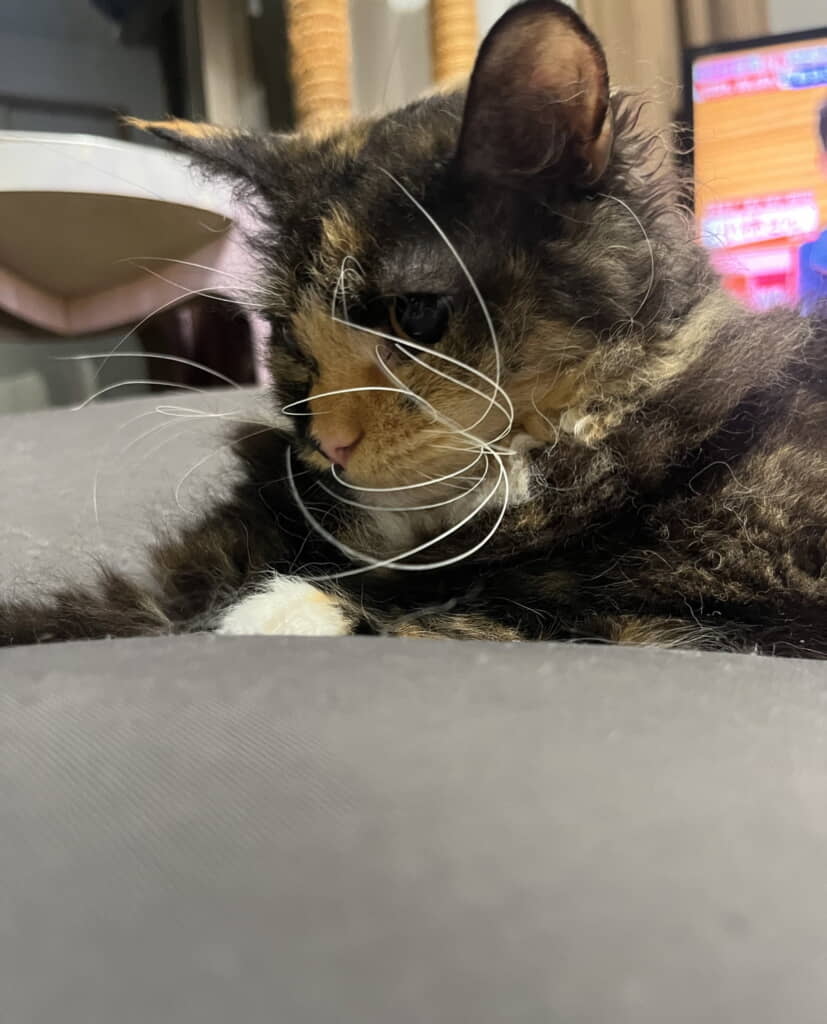 横顔も……良い！