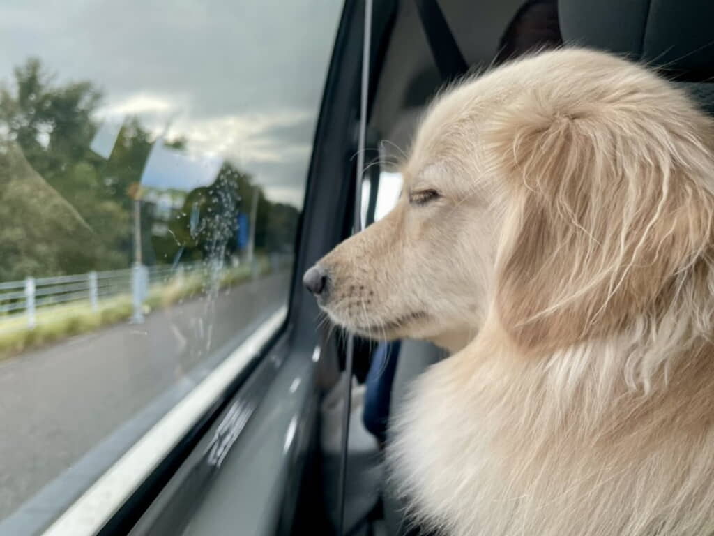 眠さが限界だったみたい……！