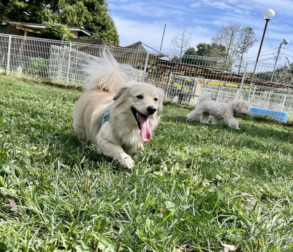 楽しかった遠足