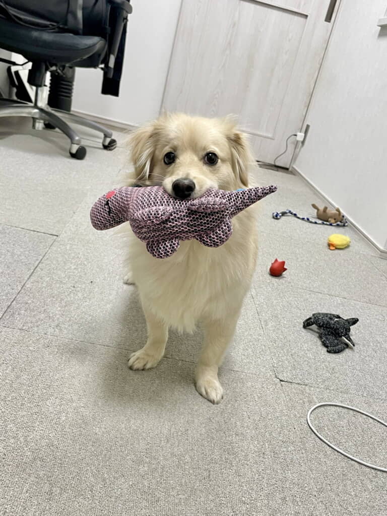 帰宅早々「まだ行けるぜ」モード