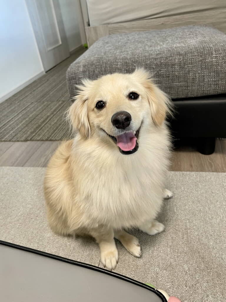 こちらまで笑顔になる！