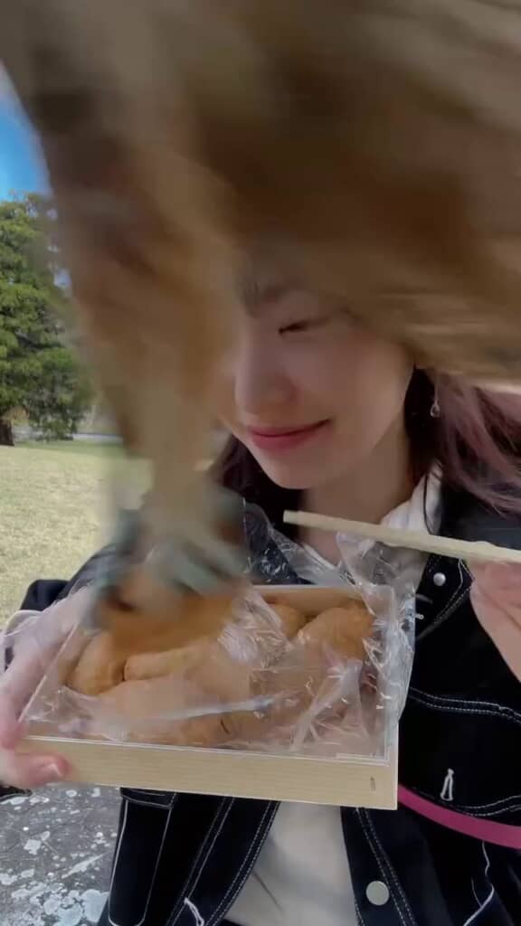 いなりずしを強奪するトンビ