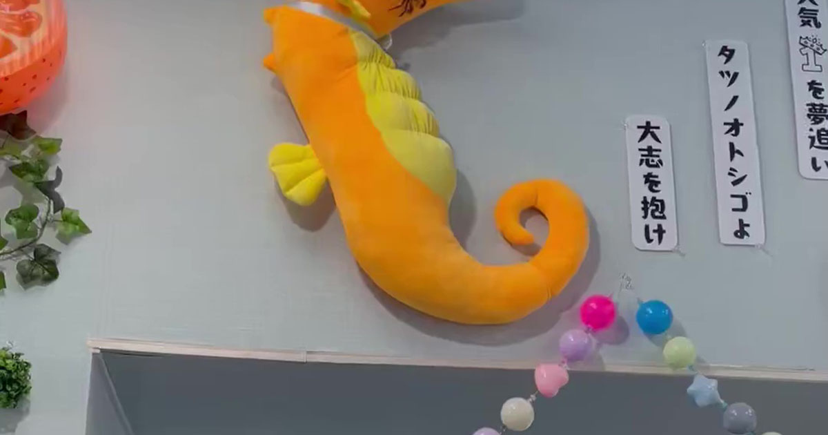 水族館「困りますお客さま！」→閉館時間になっても帰らない“常連さん”が110万表示「どうやってそこに……」「ゾワッとした」（1/3） | その他生き物 ねとらぼ