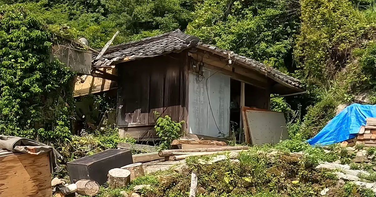 ボロボロで倒壊寸前の小屋→家族がDIYして3カ月後……　見違える光景に「本当にすごい」「愛着が湧きますね」（1/3） | リフォーム・リノベーション・DIY ねとらぼ