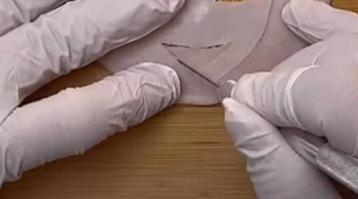 『鬼滅の刃』をキャラ弁で再現したら……「えぐいって、、、」　とんでもない完成形に「天才やん」と390万再生（1/3） | ライフスタイル ねとらぼ