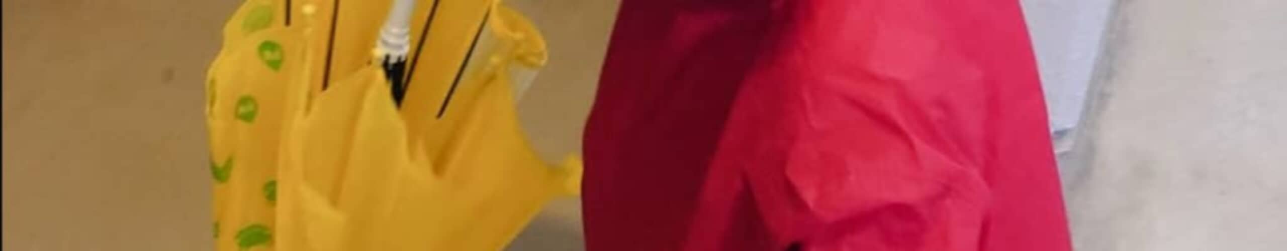 万博へ行く3歳息子にレインコートを着せたママ「改造したので」→まさかの姿に「こ、こ、これは！」「このコンボは反則級」（1/3） | 育児 ねとらぼ