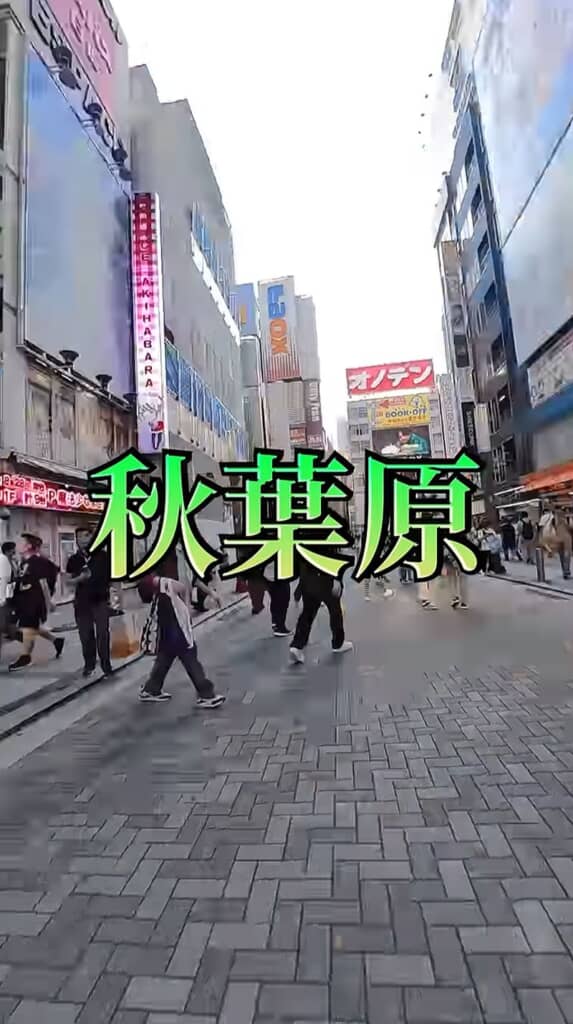 秋葉原を歩く様子