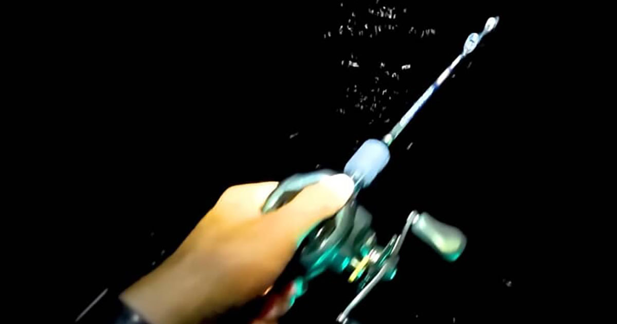 初めて“真っ暗な海”で「船釣り」に挑戦したら……「ゾクゾクします」　“まさかの遭遇”に「夢がありますね」（1/2） | 小動物 ねとらぼ