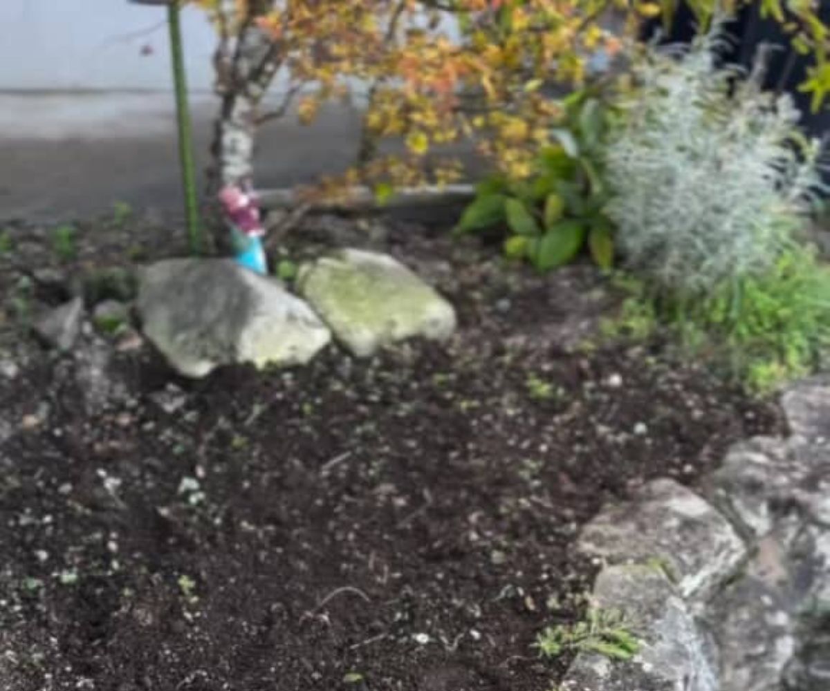 小さな小さな庭→100均アイテムでDIYするだけで……　見違える光景に「真似したい」「アリエッティの世界観」 | リフォーム・リノベーション・DIY ねとらぼ