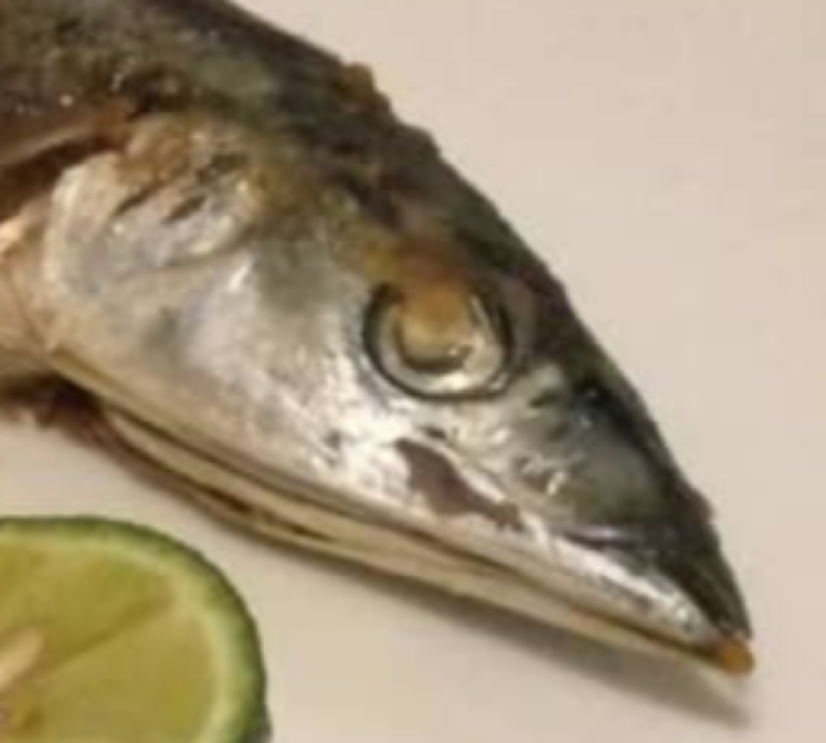 怖いほどデカいサンマを購入→無理やり焼いたら……　まさかの姿に「趣きがあるw」「斬新な盛り付けみたい」（1/3） | グルメ ねとらぼ