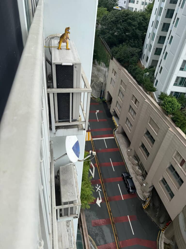 作戦は大成功！