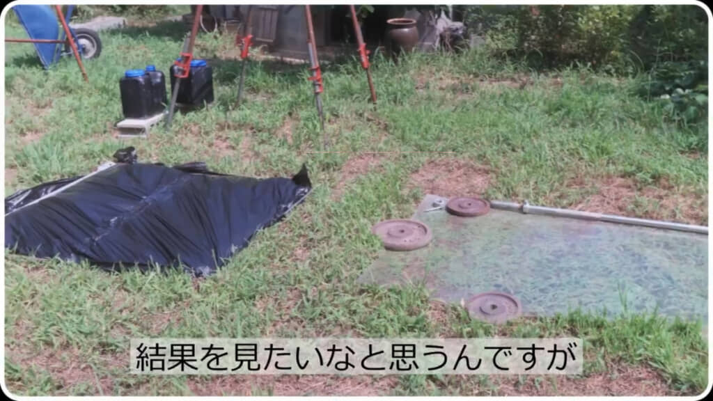 雑草の上に透明なポリカーボネート板（画像右）と黒いビニール袋（画像左）をそれぞれ置いて観察します