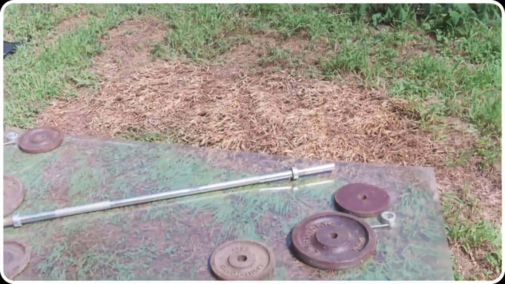 ポリカーボネート板をずらして確認すると、見事に枯れているのが確認できます