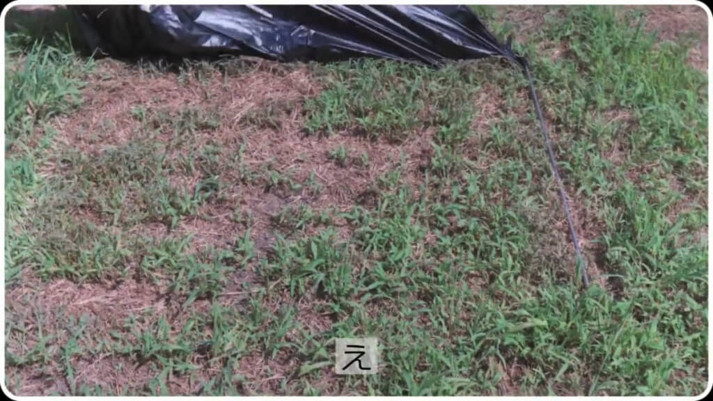 四辺を棒で押さえた黒いビニール袋の下は、驚くほど変化がありませんでした