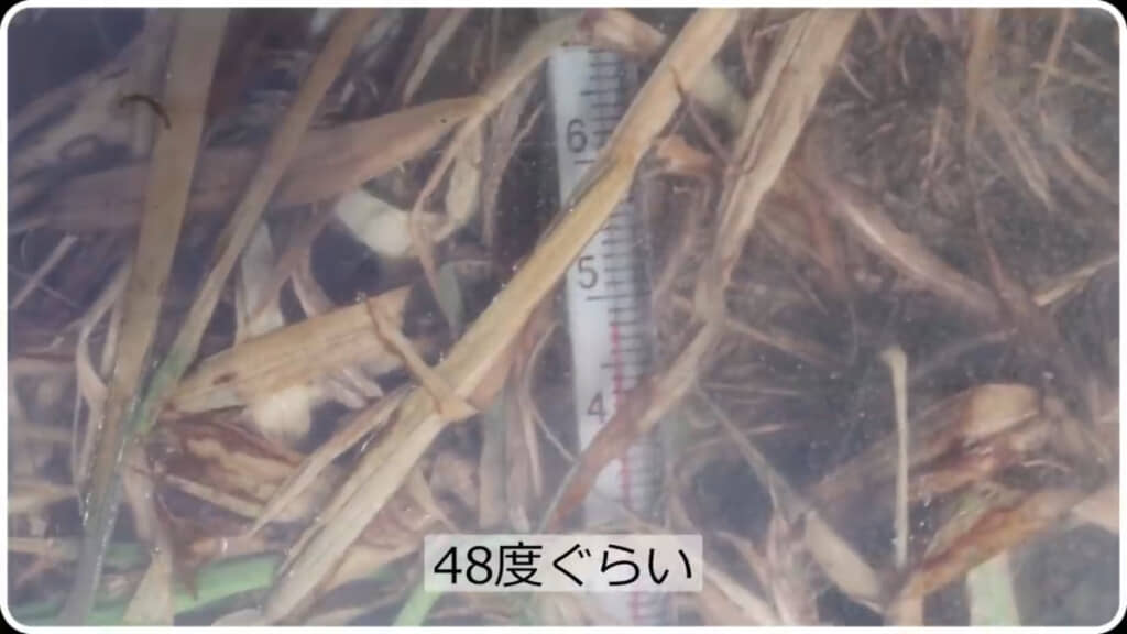 ポリカーボネート板と地面の間の温度を測った様子