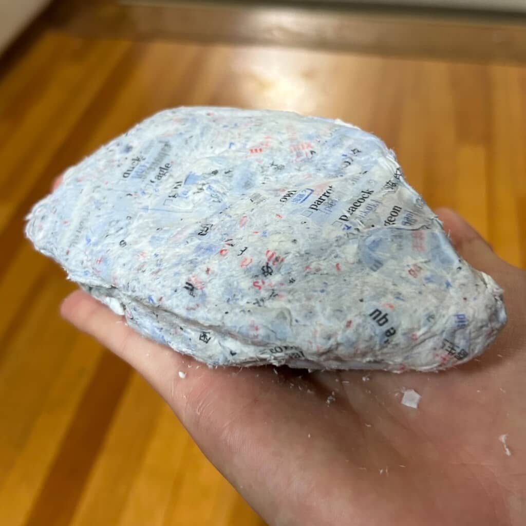 洗ってしまったシス単