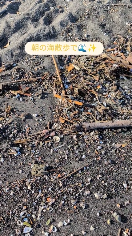 波打ち際の様子