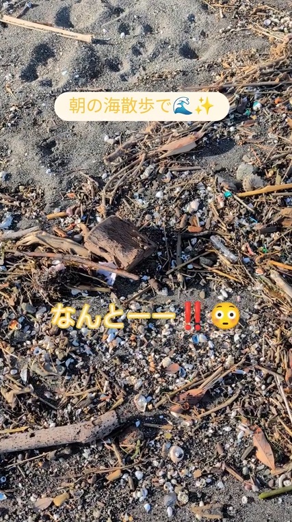 何かを発見した投稿者