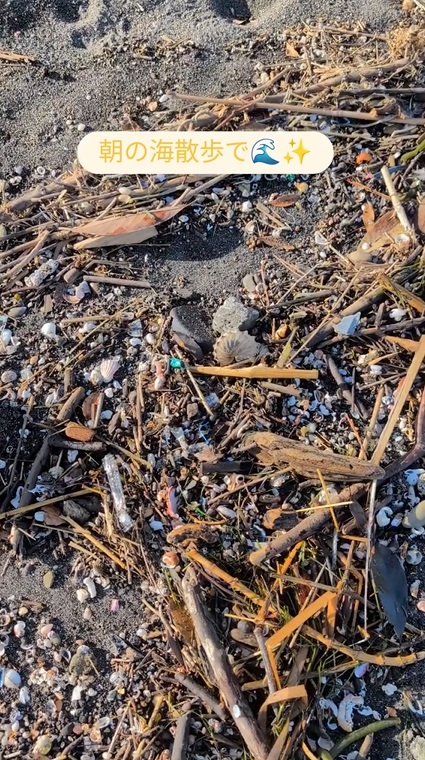 見つけたのは「タコブネ」の殻