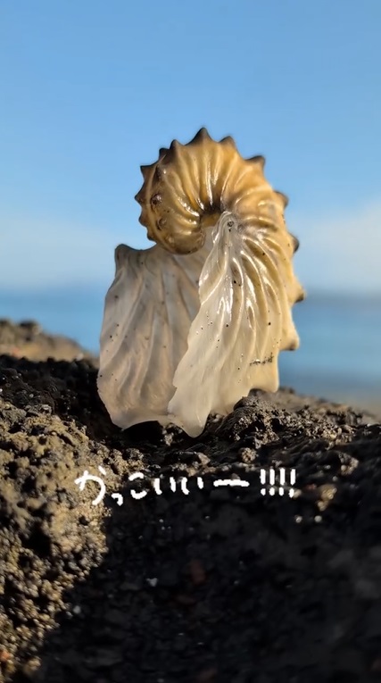 海を背景に撮影