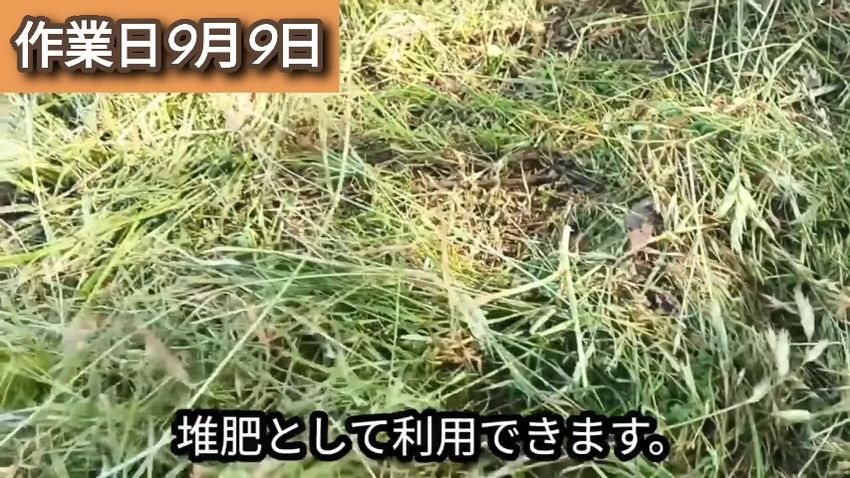 抜いた草を上からかぶせた状態