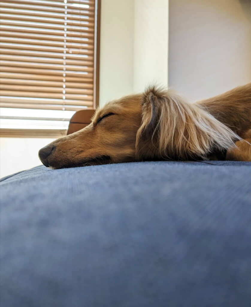 スヤァ（基本）