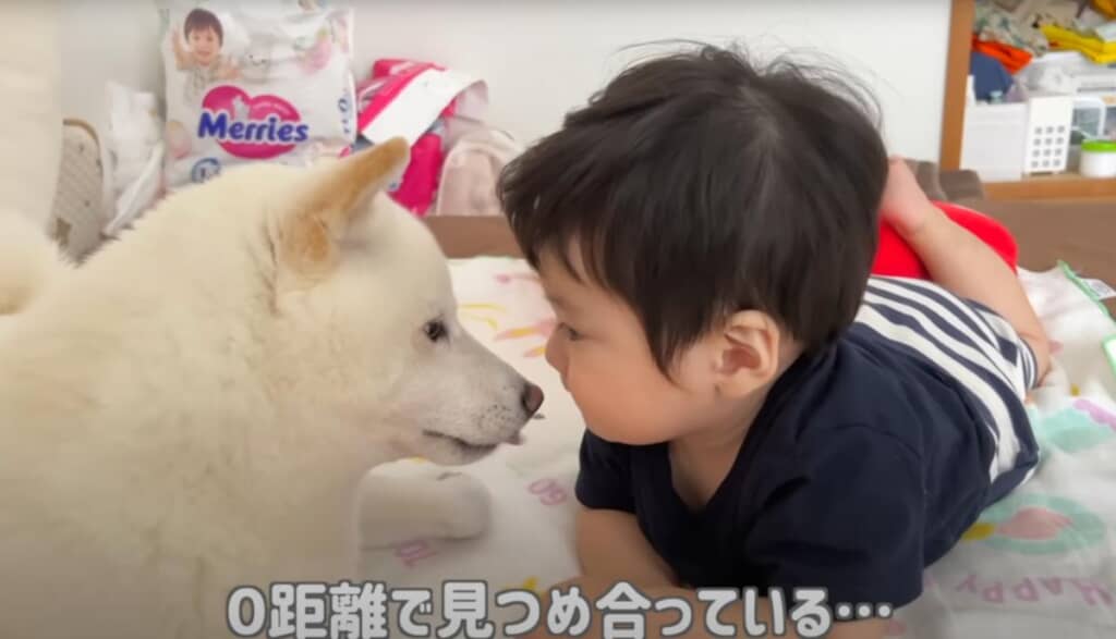 0距離で見つめ合う仲良しなふたり