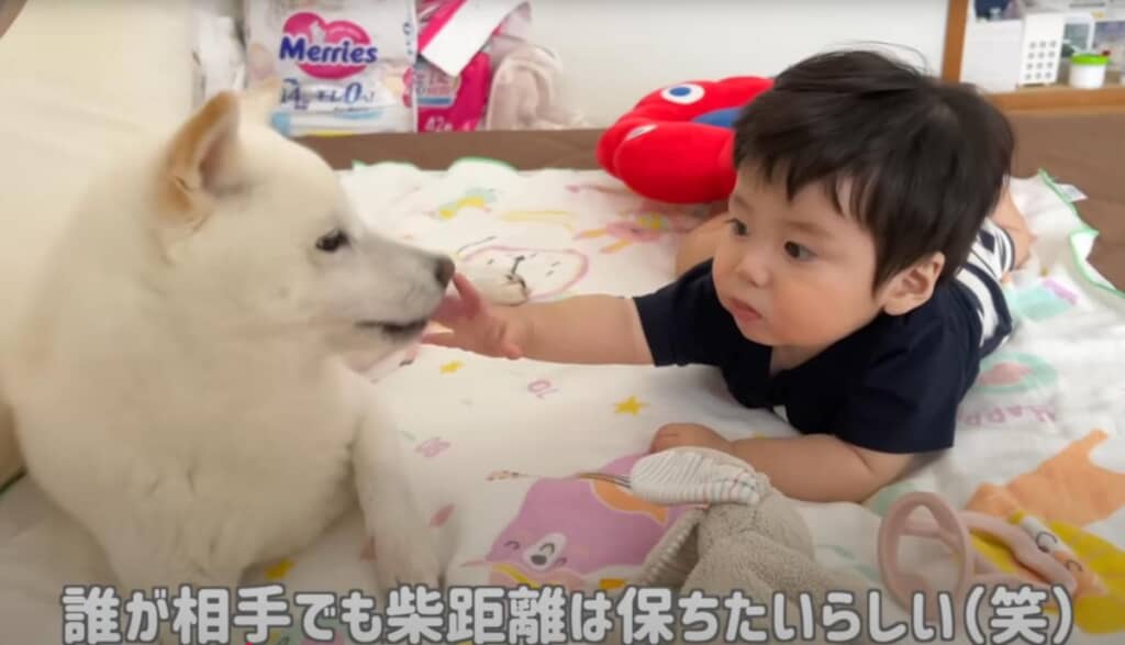 やっぱり近すぎるのは苦手なおまめくん