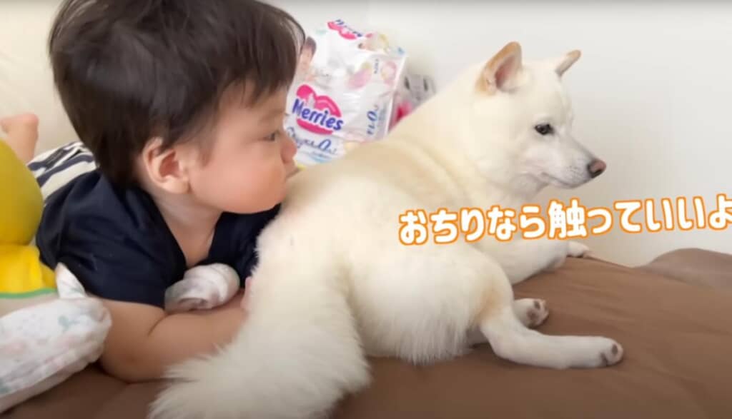 おしりを差し出す優しいおまめくん